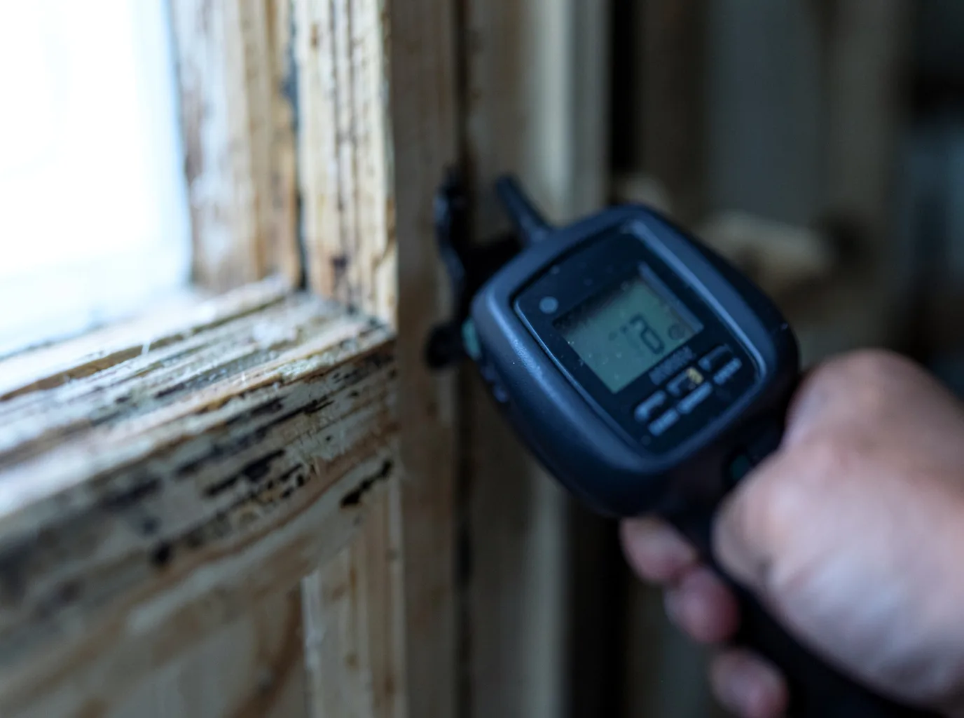 Moisture Inspection And Documentation in New Tazewell, TN